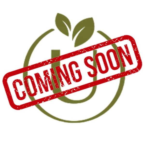 Le Cupole Rosso Toscana IGT 2023