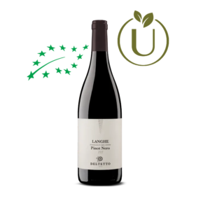 Langhe DOC Pinot Nero 777 2022