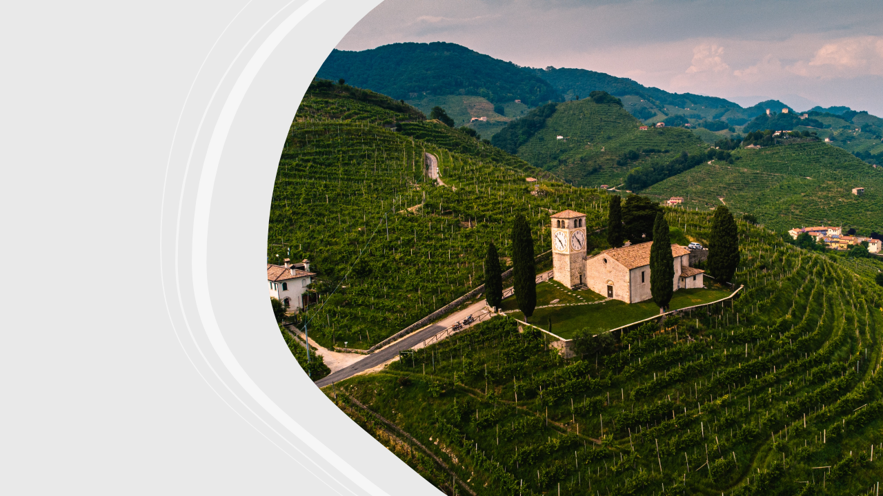 Veneto’s Producers