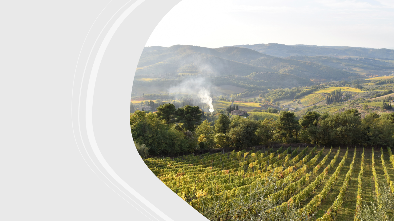 ADOPT A VINEYARD: A UNIQUE EXPERIENCE