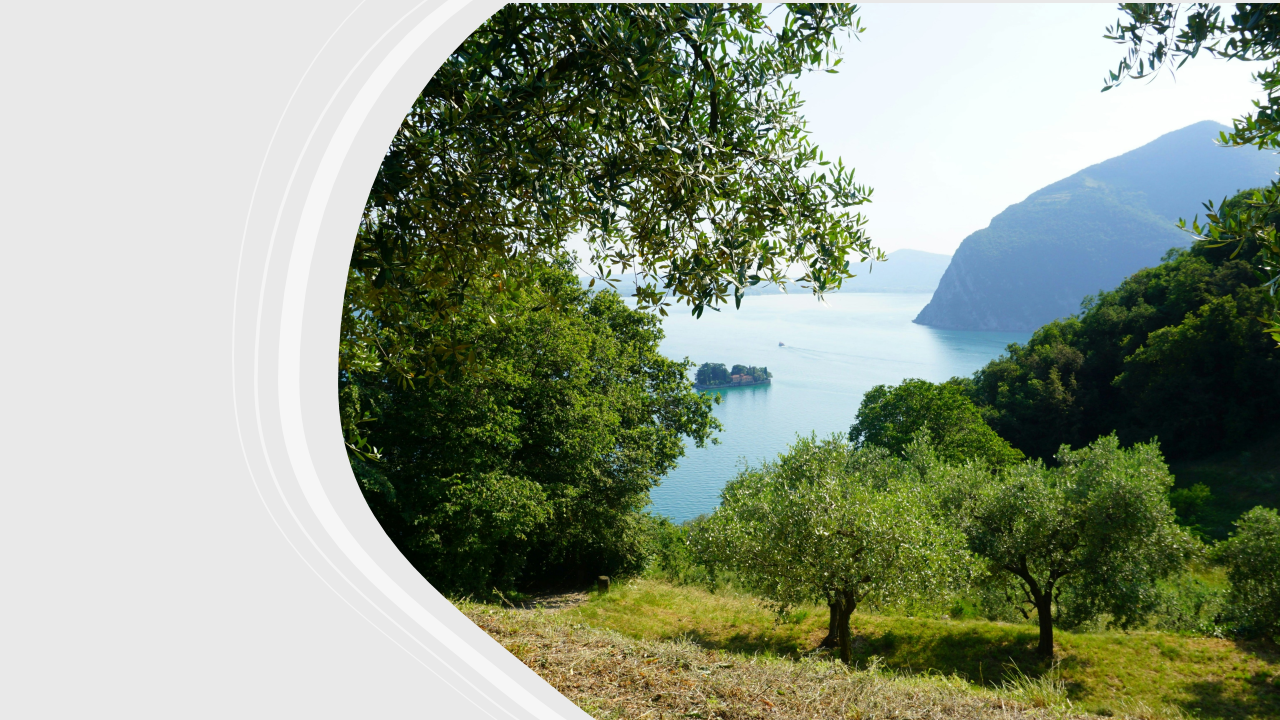 Produttori di olio di oliva italiani